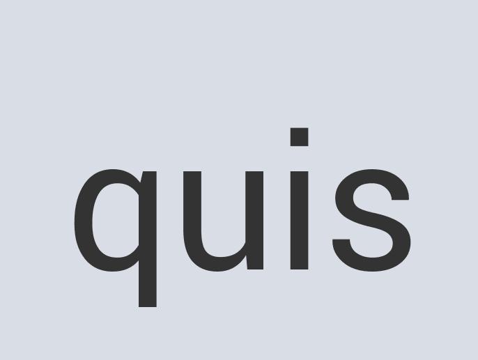 Rustic Plastic Thunderwear