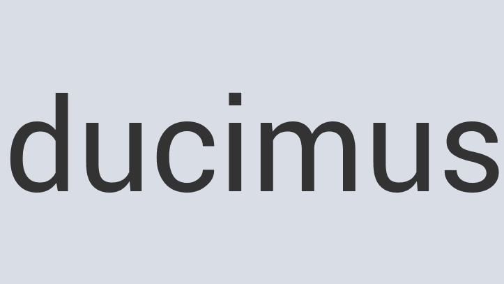 Enormous Leather Cleanze